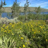 Review photo of Fremont Lake by Erik B., July 18, 2023