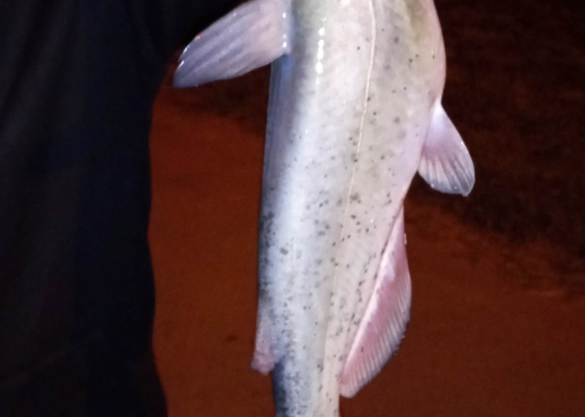 Prairie Creek Reservoir Camping The Dyrt