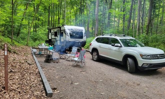 Camping near Benner's Meadow Run RV Campground: Mill Run Recreation Area, Friendsville, Maryland