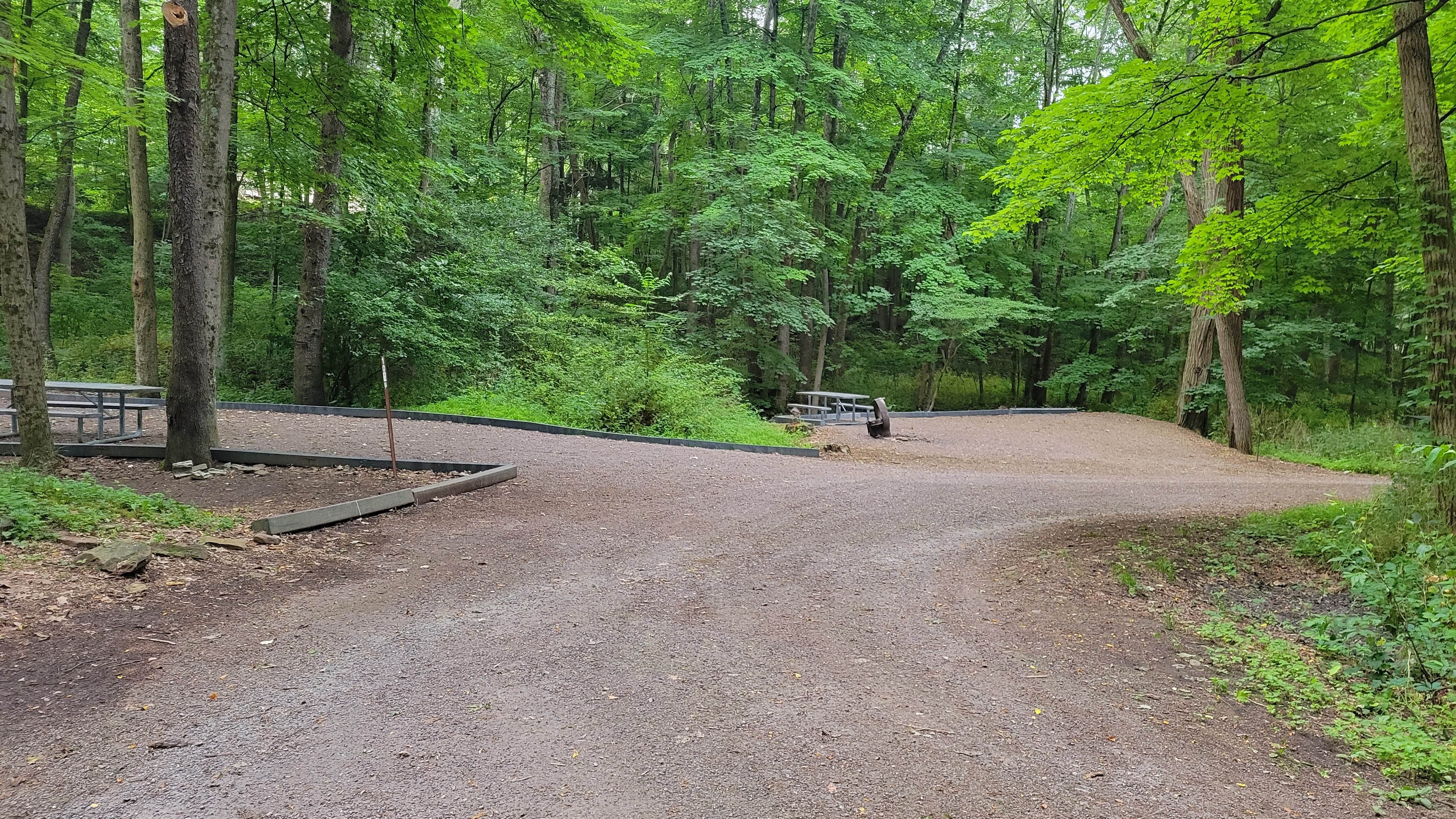 Camper submitted image from Mill Run Recreation Area - 3