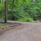 Review photo of Mill Run Recreation Area by Greg K., July 18, 2023