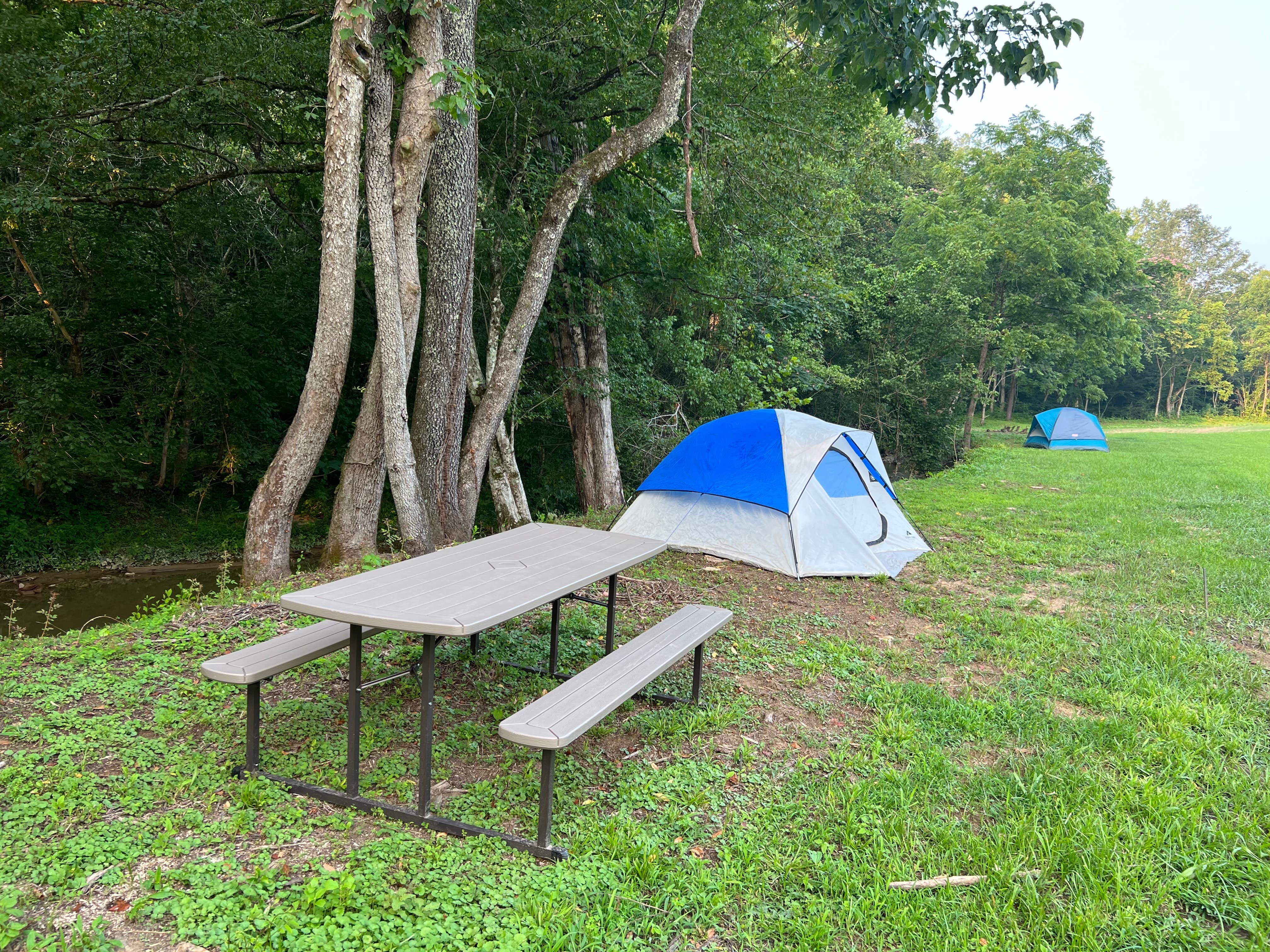 Tiffny E.'s photo of tent camping at Slick Rock Ranch near Rutledge, TN