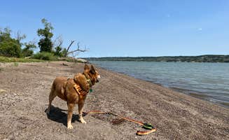 Art S.'s photo of camping with pets at Oacoma Flats near Platte, SD