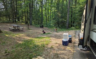 loujimi47's photo at Nichols Lake South Campground near Bitely, MI