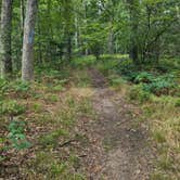 Review photo of Nichols Lake South Campground by loujimi47 , July 18, 2023