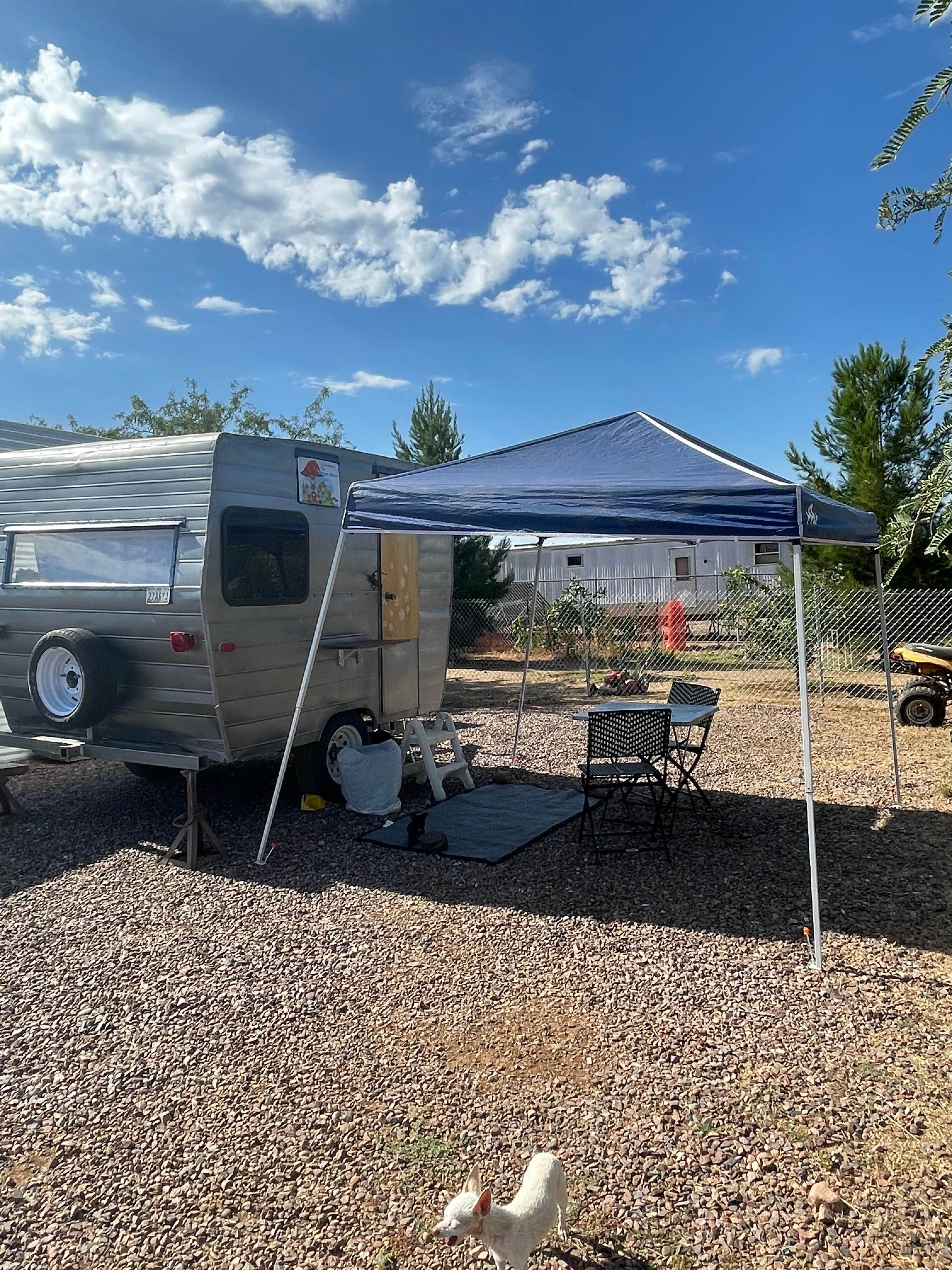 Camper submitted image from Tonto Treasure - 1