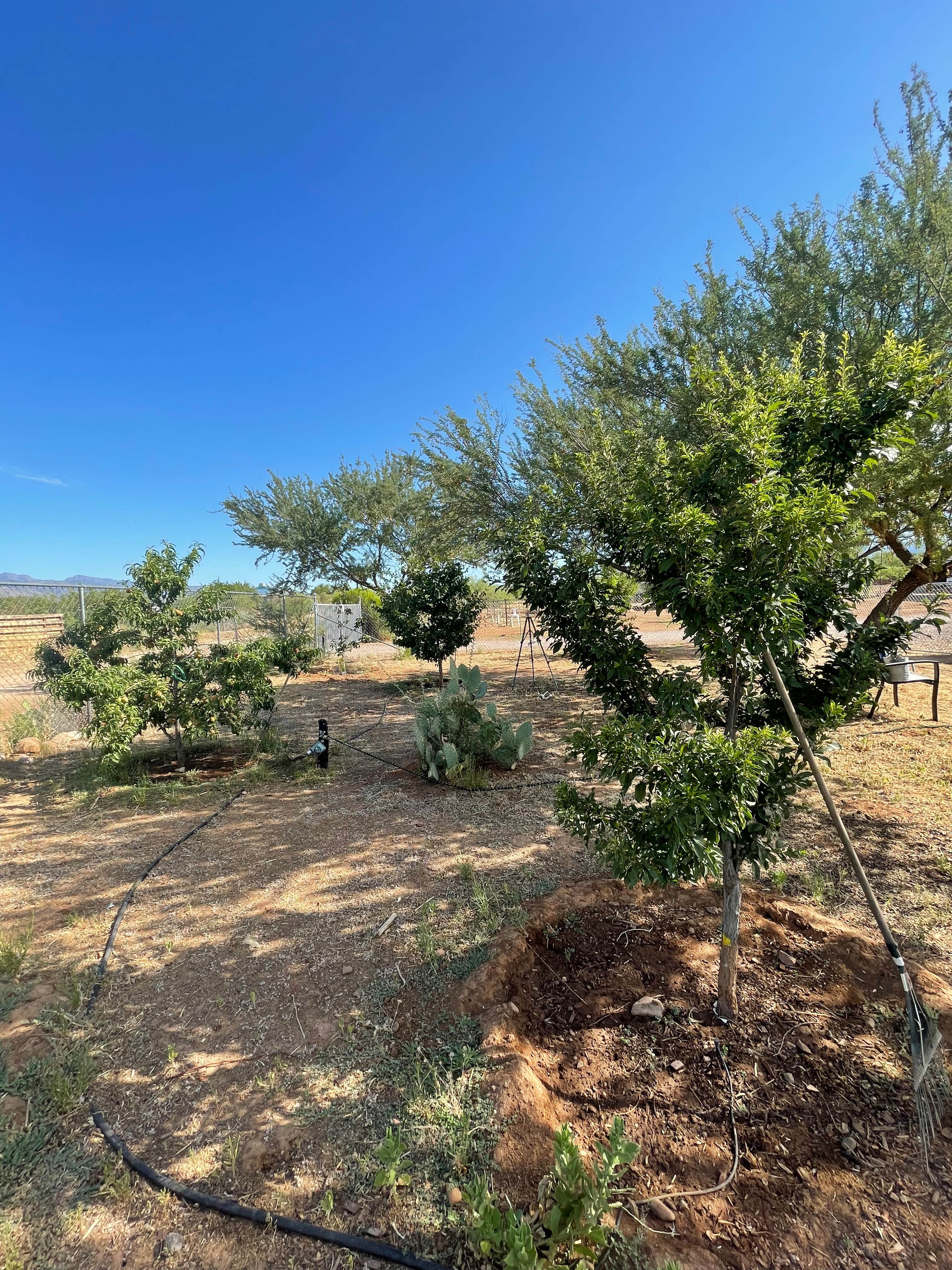 Camper-submitted photo at Tonto Treasure near Payson, AZ