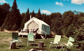 The Dyrt's photo at Tentrr Signature Site - Christmas Tree Farm Hideaway near Apulia Station, NY