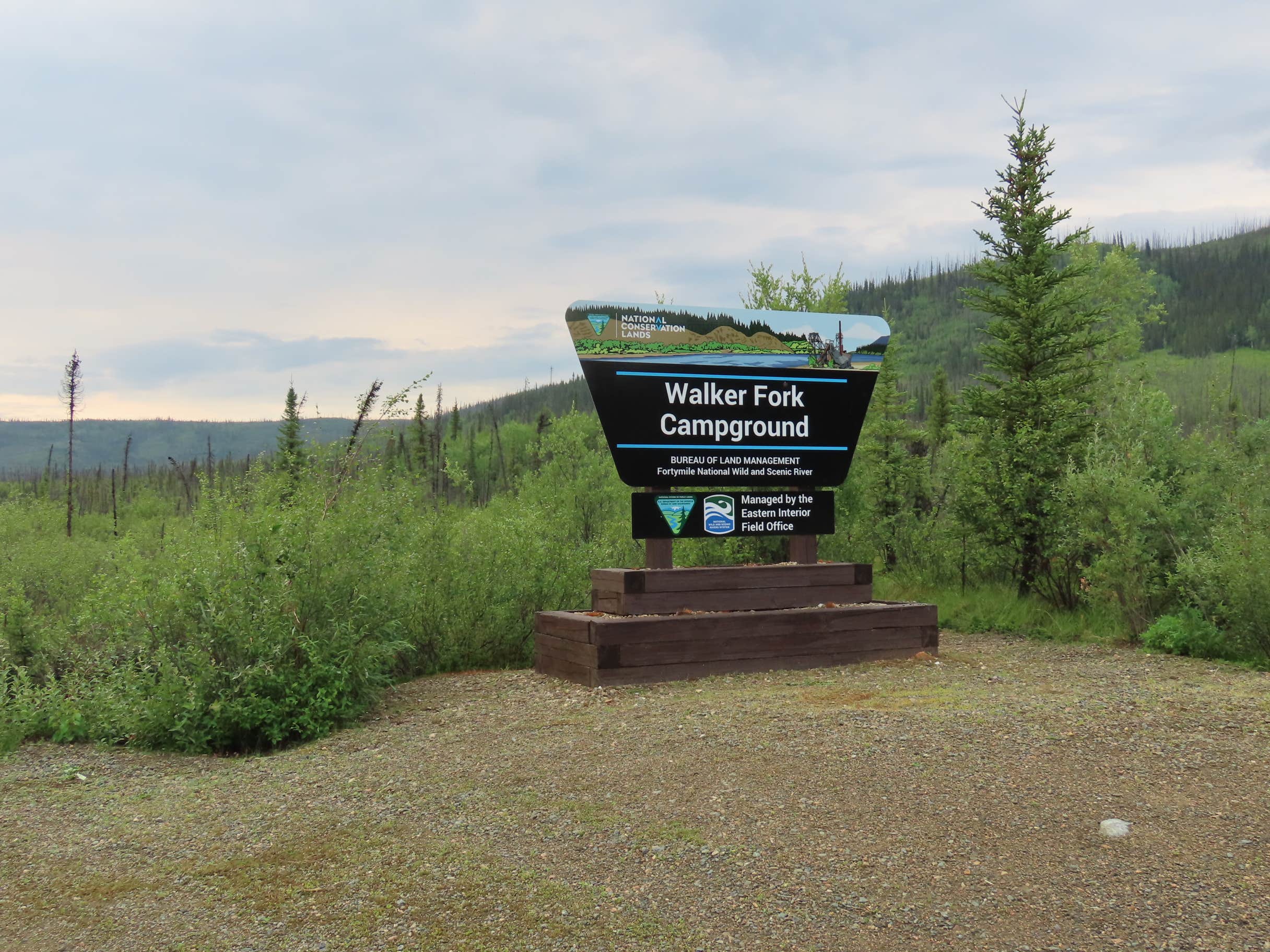 Camper submitted image from Walker Fork Campground - 2