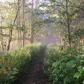 Review photo of Nantahala National Forest by Asher K., October 23, 2018