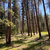 Review photo of Quartz Flats Campground by Catarina B., July 18, 2023