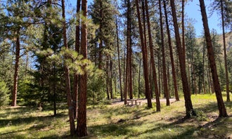 Camping near Clearwater Crossing Campground: Quartz Flats Campground, Superior, Montana