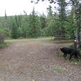 Review photo of Walker Fork Campground by Chris , July 18, 2023