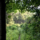 Review photo of Nantahala National Forest by Asher K., October 23, 2018