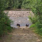 Review photo of Walker Fork Campground by Chris , July 18, 2023