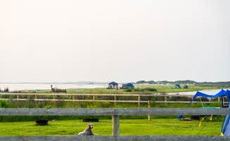 Horizon M.'s photo at Cedar Island Ranch near Cape Lookout National Seashore