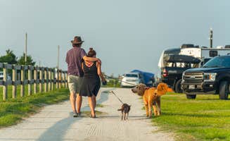 Horizon M.'s photo of camping with pets at Cedar Island Ranch near Morehead City, NC