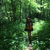 Review photo of Nantahala National Forest by Asher K., October 23, 2018