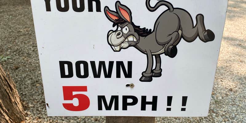 Camper submitted image from Crow Valley Campground