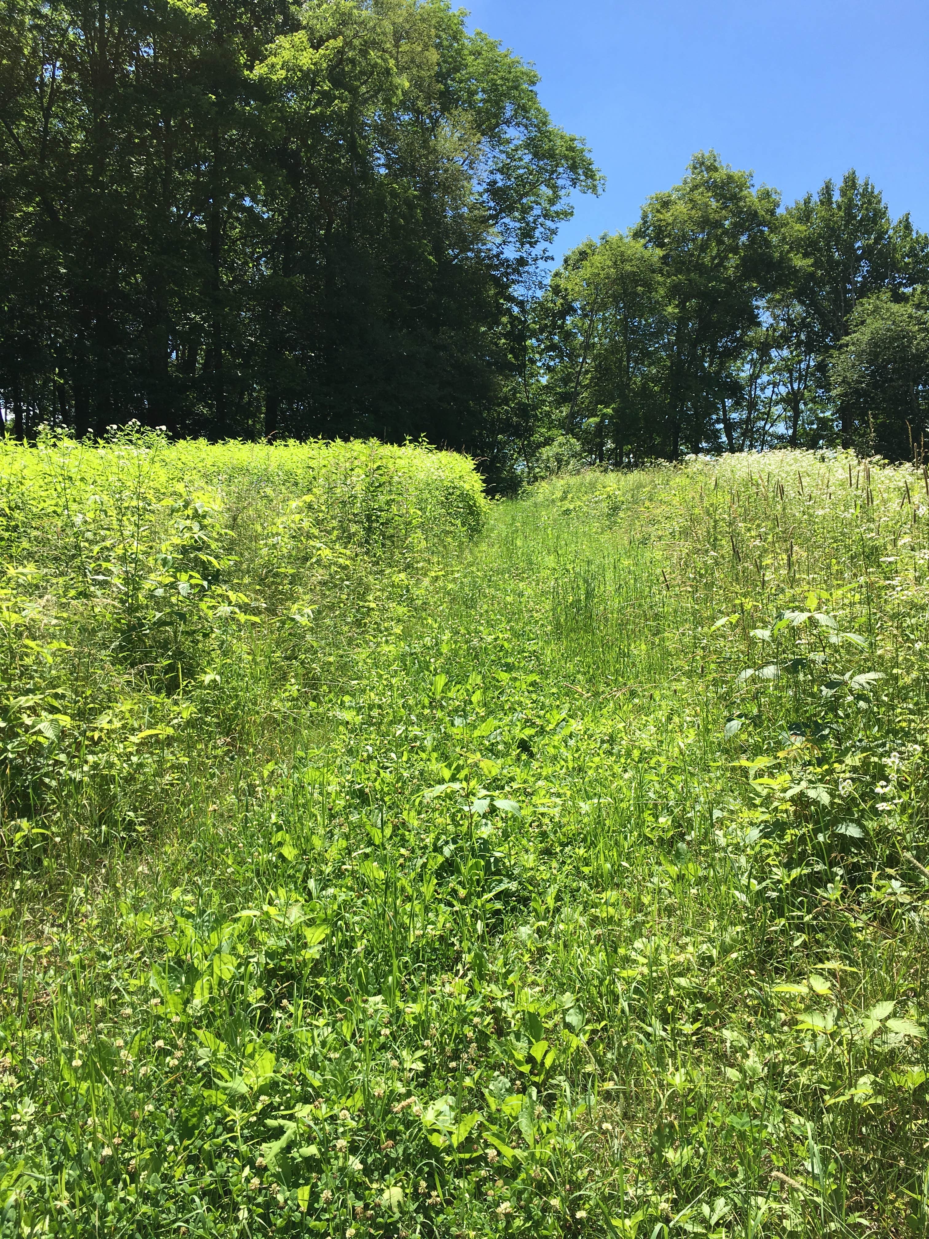 Camper-submitted photo at Nantahala National Forest near Tusquitee National Forest