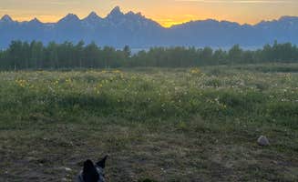 Amber M.'s photo of camping with pets at Shadow Mountain - Dispersed Campsite #10 near Grand Teton National Park
