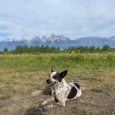 Review photo of Shadow Mountain - Dispersed Campsite #10 by Amber M., July 18, 2023