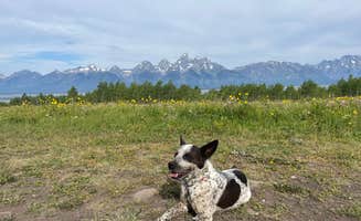 Amber M.'s photo of camping with pets at Shadow Mountain - Dispersed Campsite #10 near Moose, WY