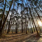 Review photo of Shinleaf — Falls Lake State Recreation Area by Francisco M., July 18, 2023