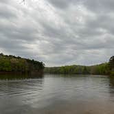 Review photo of Shinleaf — Falls Lake State Recreation Area by Francisco M., July 18, 2023