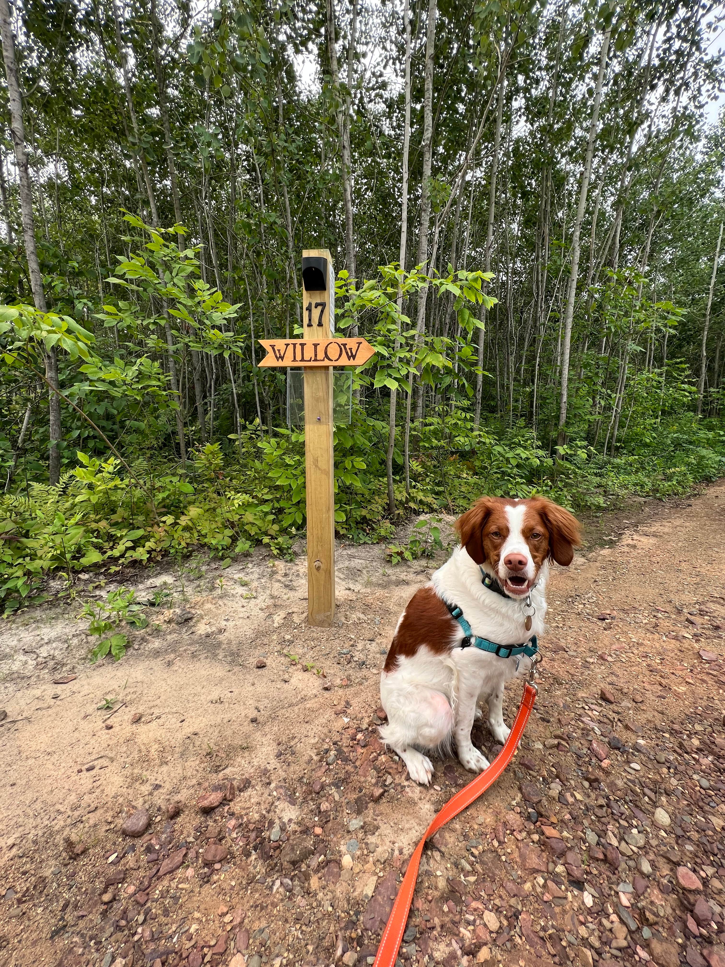 Camper submitted image from Cuyuna Range Campground - 4