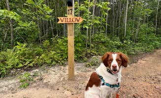 Noelle M.'s photo of camping with pets at Cuyuna Range Campground near Baxter, MN