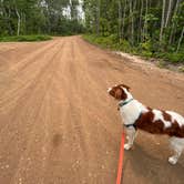 Review photo of Cuyuna Range Campground by Noelle M., July 18, 2023