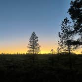 Review photo of Tom Best Spring Road FR117 Dispersed - Dixie National Forest by Alec T., July 19, 2023