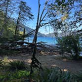 Review photo of Hoh Rain Forest - Olympic National Park by Andrew M., July 19, 2023