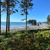 Review photo of Hoh Rain Forest - Olympic National Park by Andrew M., July 19, 2023