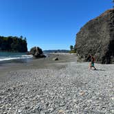 Review photo of Hoh Rain Forest - Olympic National Park by Andrew M., July 19, 2023