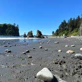 Review photo of Hoh Rain Forest - Olympic National Park by Andrew M., July 19, 2023