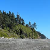 Review photo of Hoh Rain Forest - Olympic National Park by Andrew M., July 19, 2023