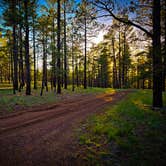 Review photo of Garland Prairie Rd Dispersed Camping by Chris W., July 19, 2023