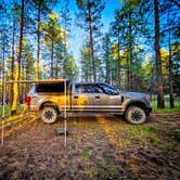 Review photo of Garland Prairie Rd Dispersed Camping by Chris W., July 19, 2023