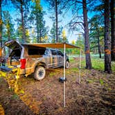 Review photo of Garland Prairie Rd Dispersed Camping by Chris W., July 19, 2023