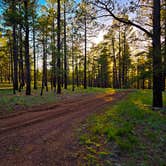 Review photo of Garland Prairie Rd Dispersed Camping by Chris W., July 19, 2023