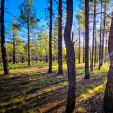 Review photo of Garland Prairie Rd Dispersed Camping by Chris W., July 19, 2023