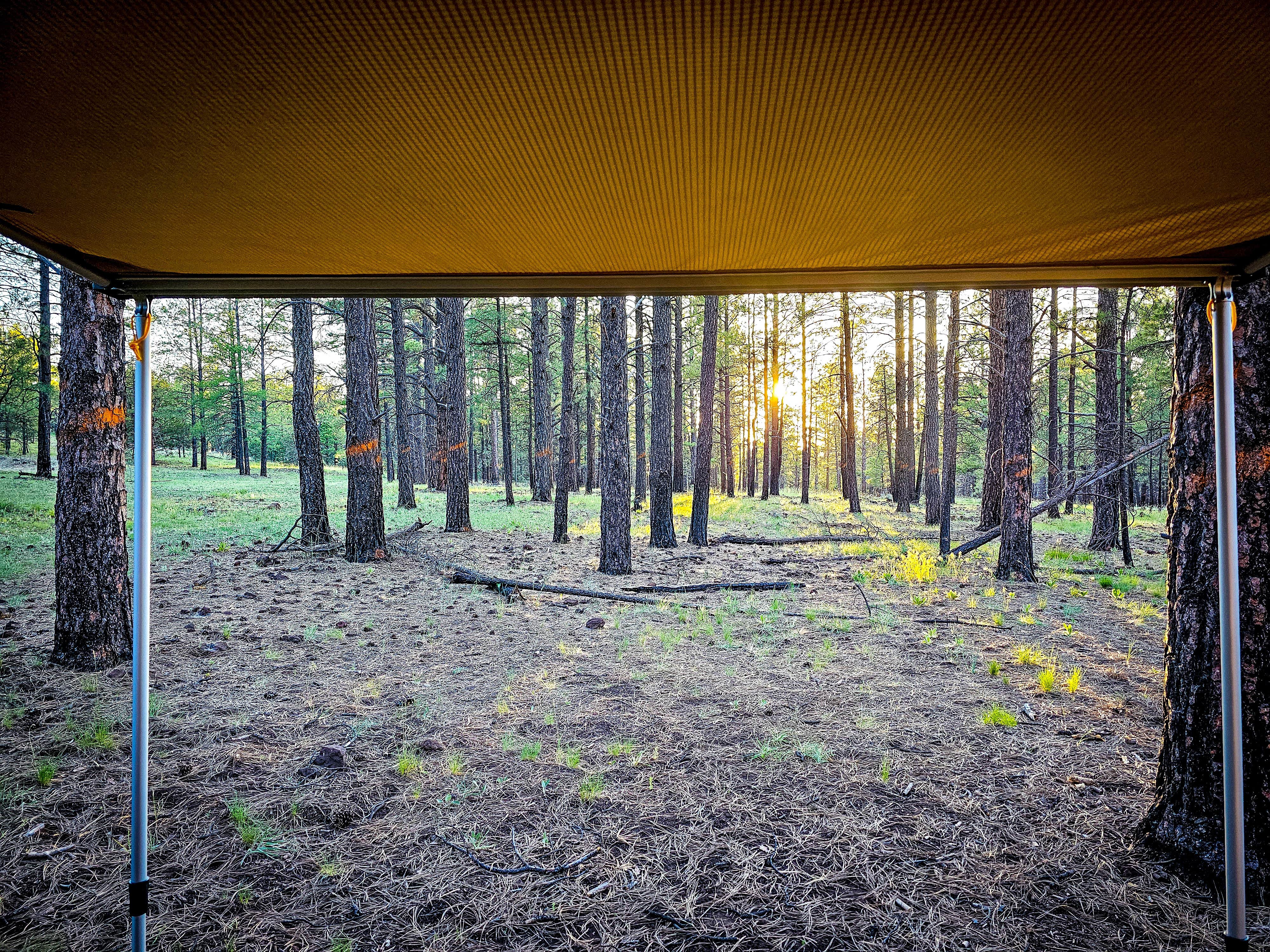 Chris W.'s photo at Garland Prairie Rd Dispersed Camping near Williams, AZ
