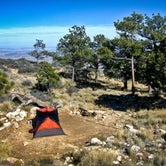 Review photo of Guadalupe Peak Wilderness Campground — Guadalupe Mountains National Park by BerthaHernandez , July 19, 2023