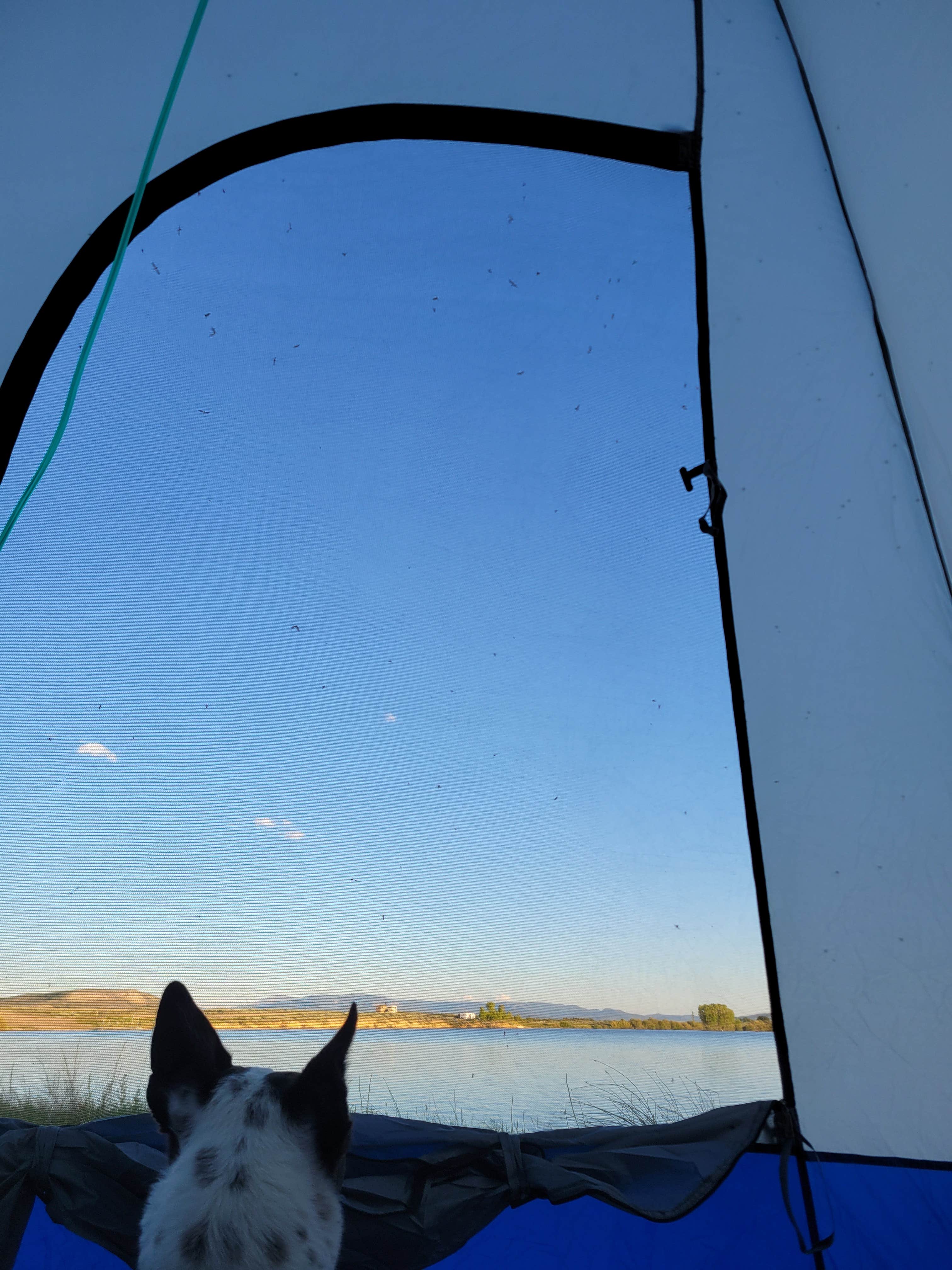 Camping near Vic & Sigrid Hanson Memorial Park: South Delaney Lake, Coalmont, Colorado
