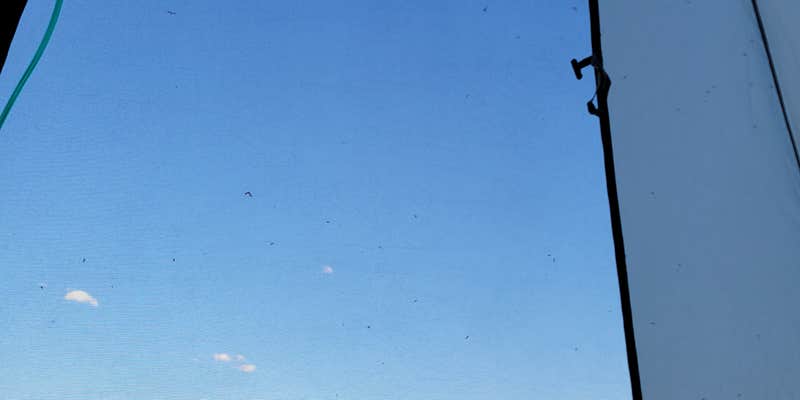 Camper submitted image from South Delaney Lake