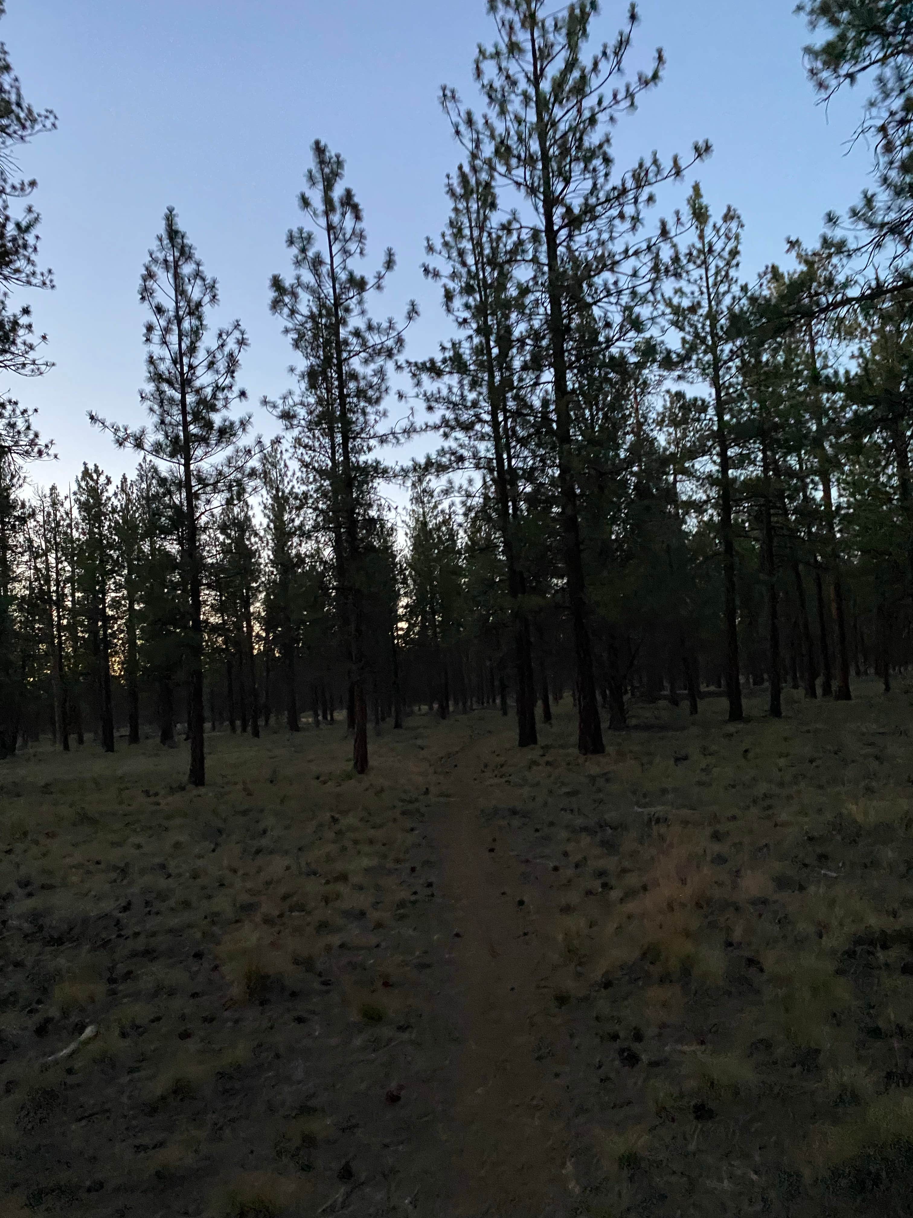 Camper-submitted photo at North Sisters Camp on North Pine Street near Camp Sherman, OR