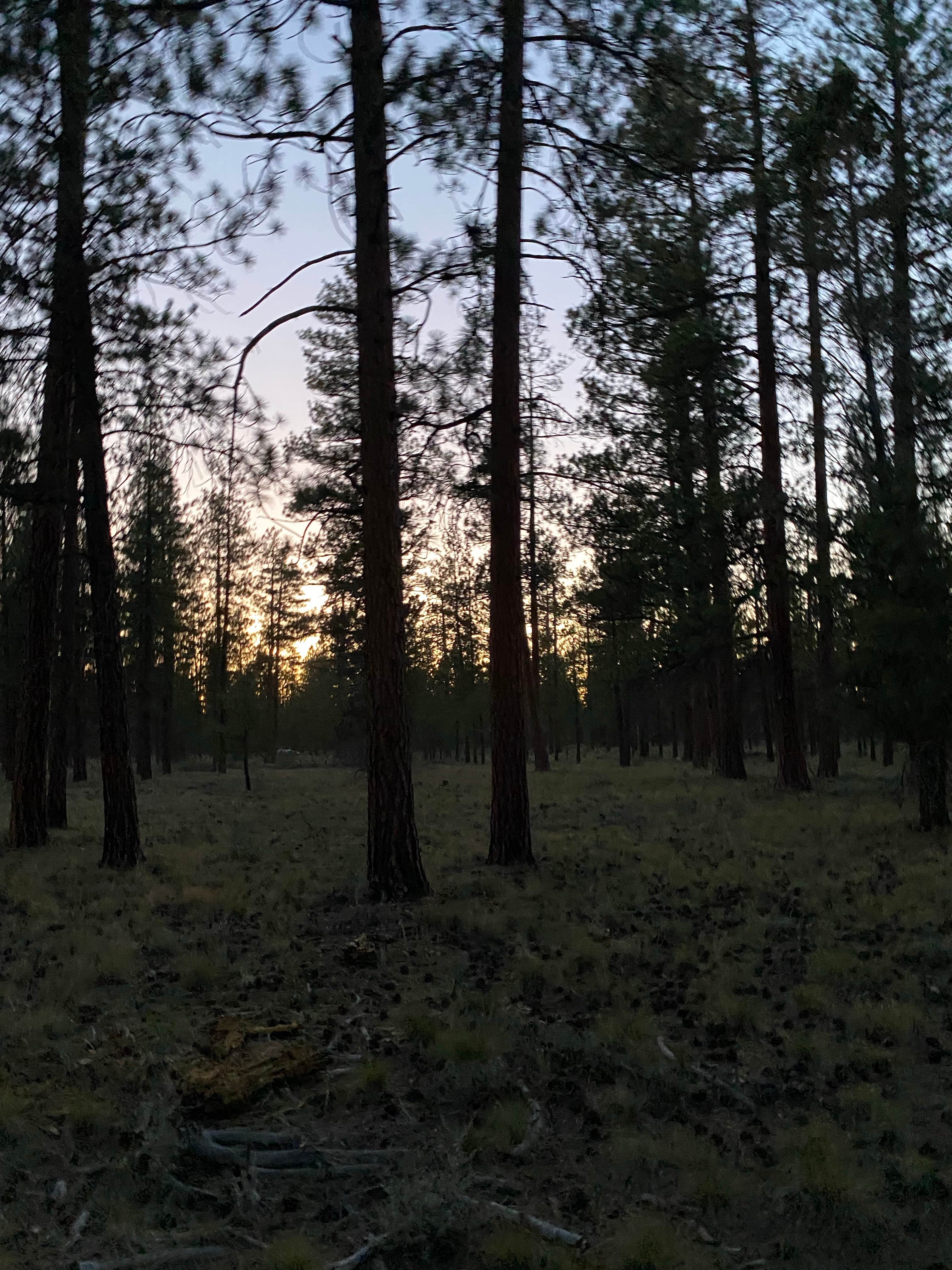 Camping near Indian Ford Campground: North Sisters Camp on North Pine Street, Sisters, Oregon