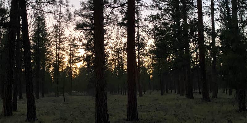 Camper submitted image from North Sisters Camp on North Pine Street